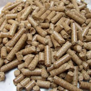 自贡荣华竹木制品有限公司厂区与生物质颗粒生产现场