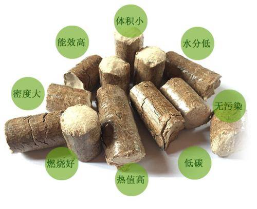 自贡荣华竹木制品有限公司厂区实景