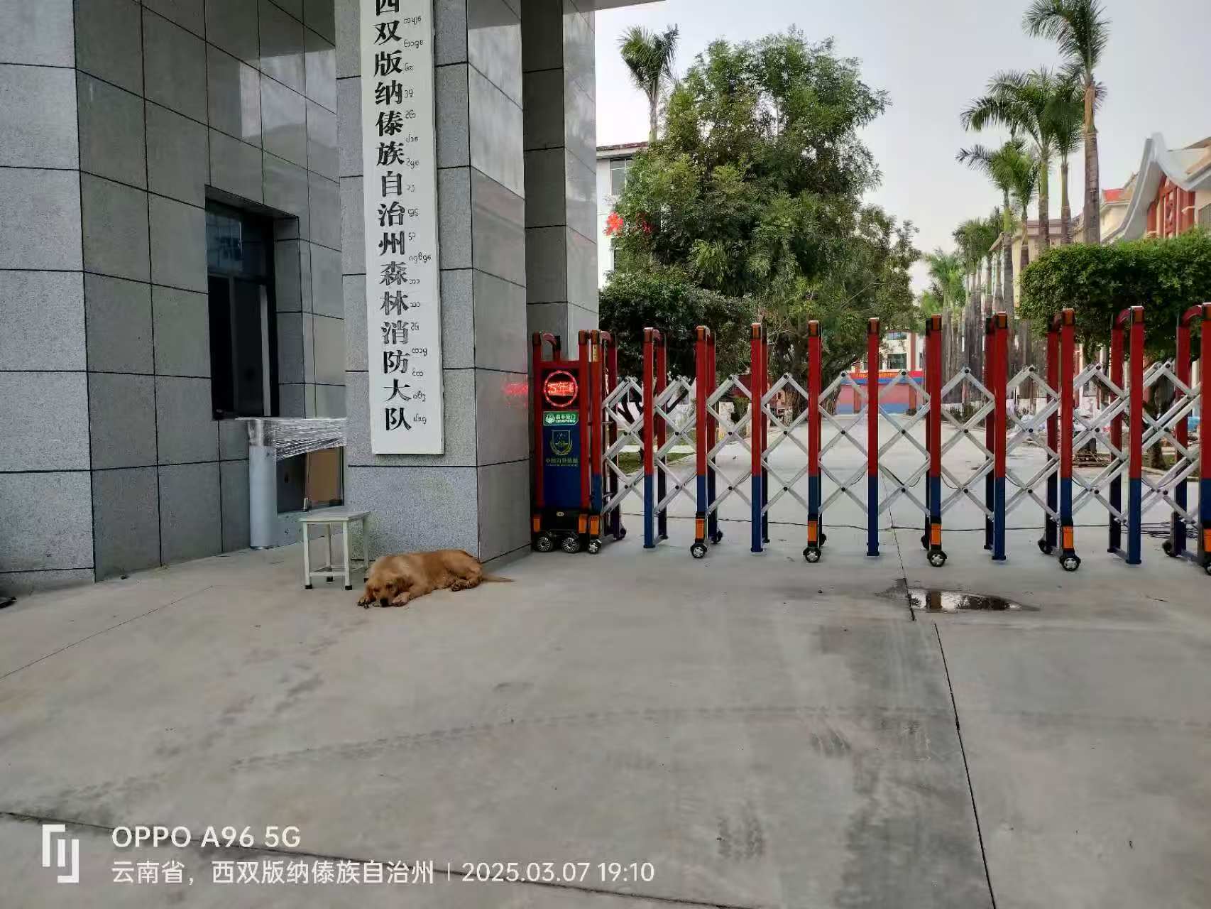 宜宾放牛娃门控科技有限公司
