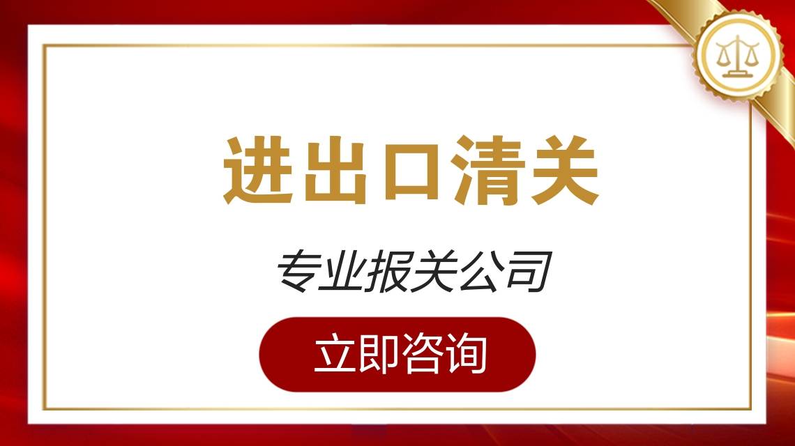 海通报关 服务团队