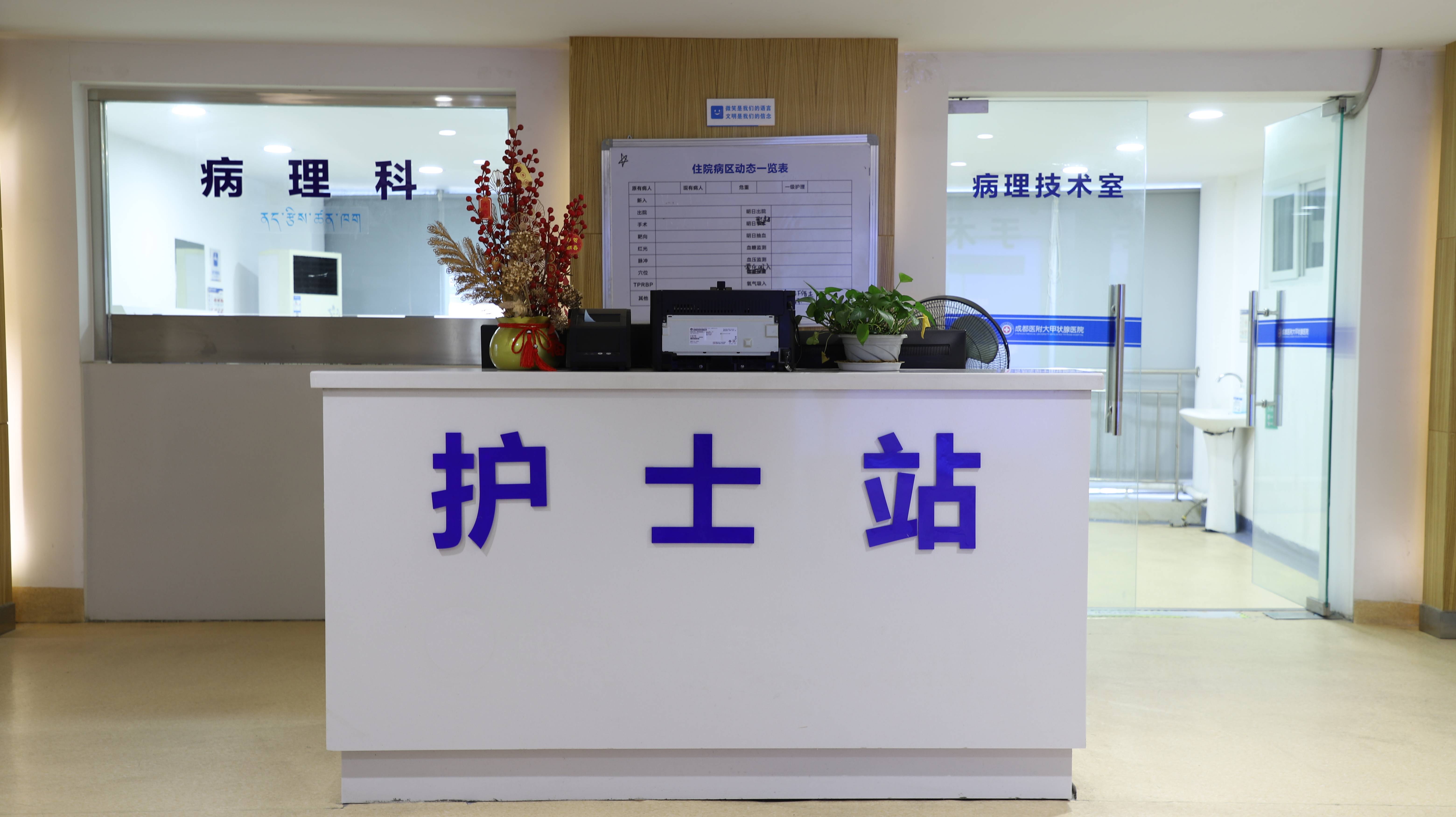 2026年成都甲状腺医院挂号电话推荐参考：四川成都医院医附大甲状腺/成都医附大甲状腺医院/正规专科与便捷就医指南
