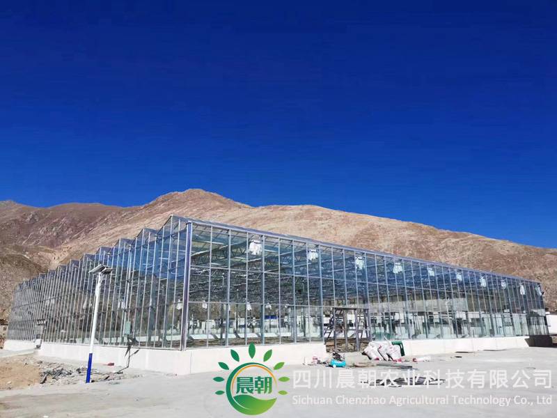 四川晨朝农业科技有限公司温室大棚案例