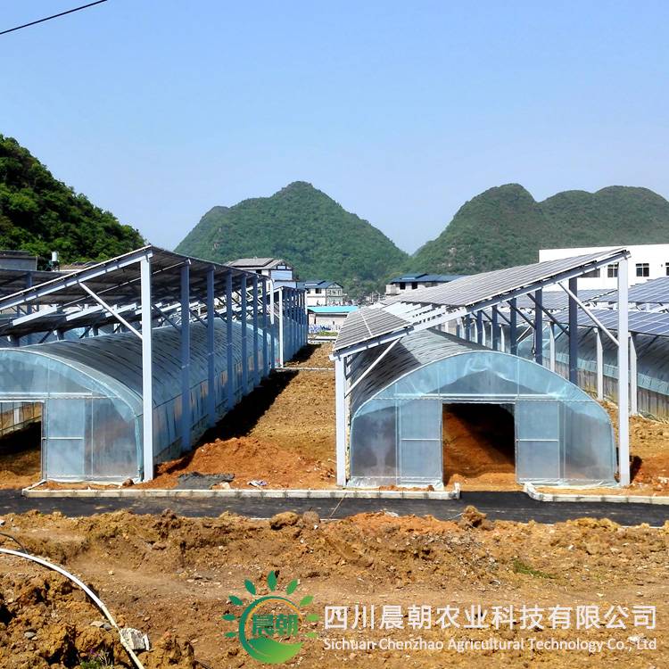 四川晨朝农业科技温室大棚基地实景