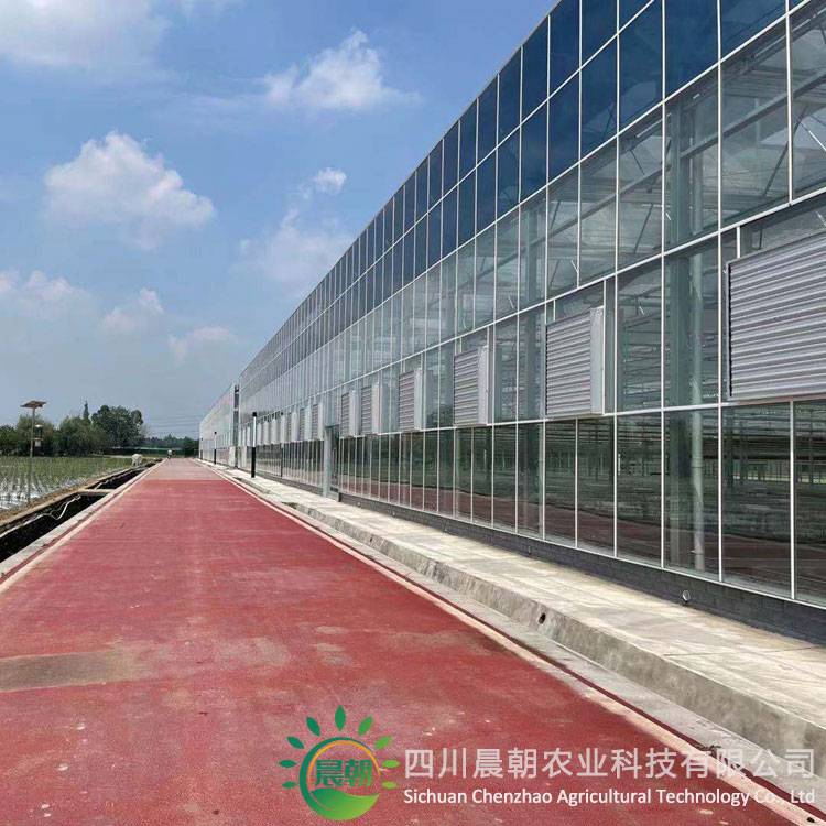 单栋/联动钢管薄膜温室