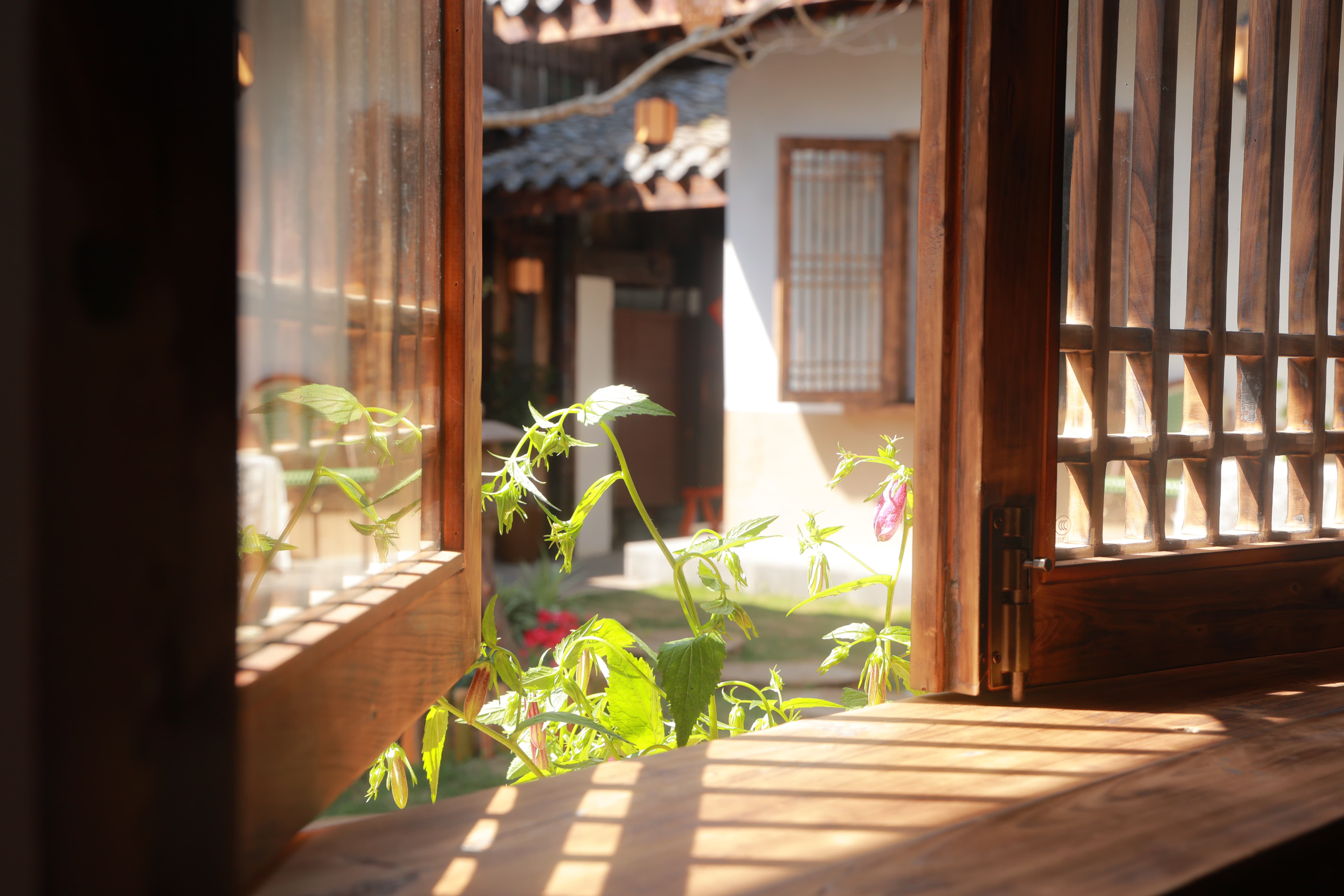 院内一景