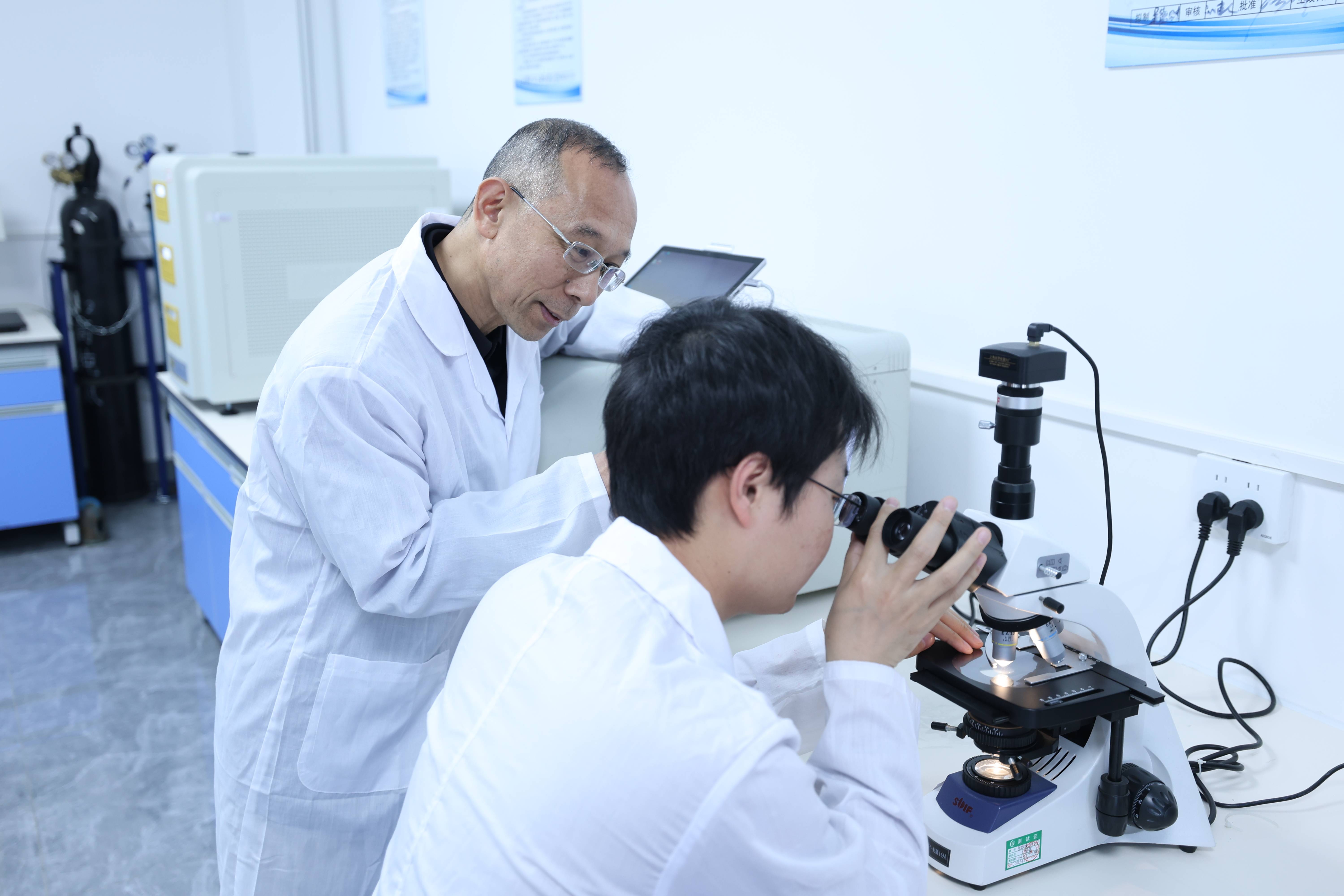 四川美丰高分子材料科技有限公司厂区