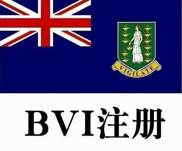 海外公司注册案例