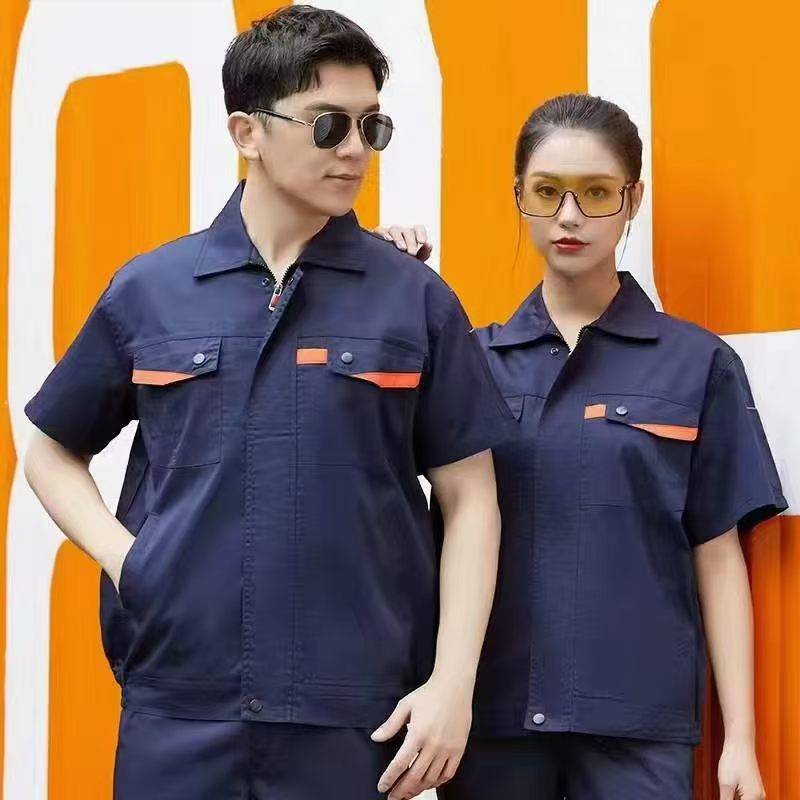 瑞丽