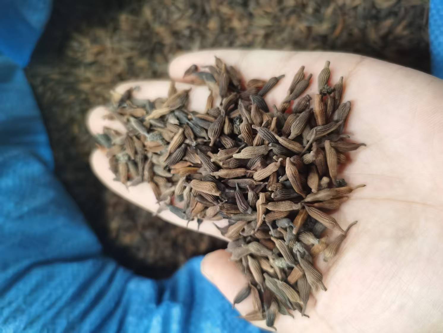 技术指导