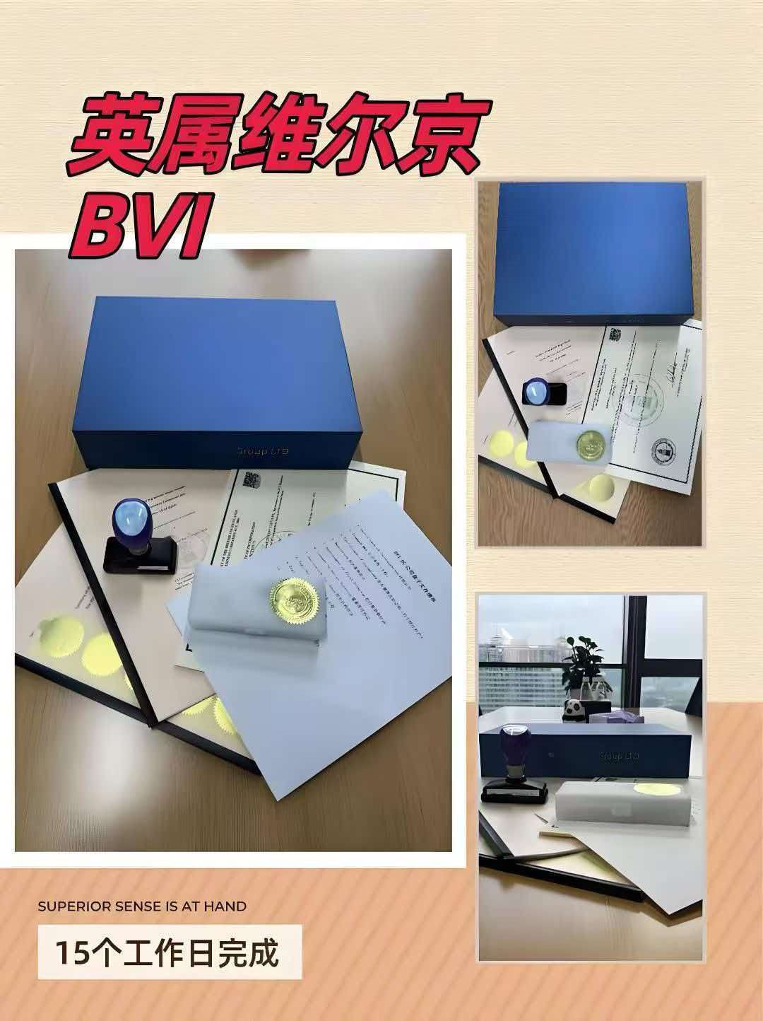 海外公司注册案例