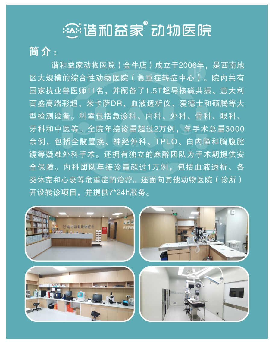 北京宠物医院核磁共振设备