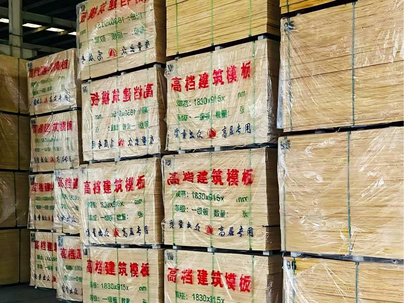甘肃中惠金星木业有限公司厂区实景