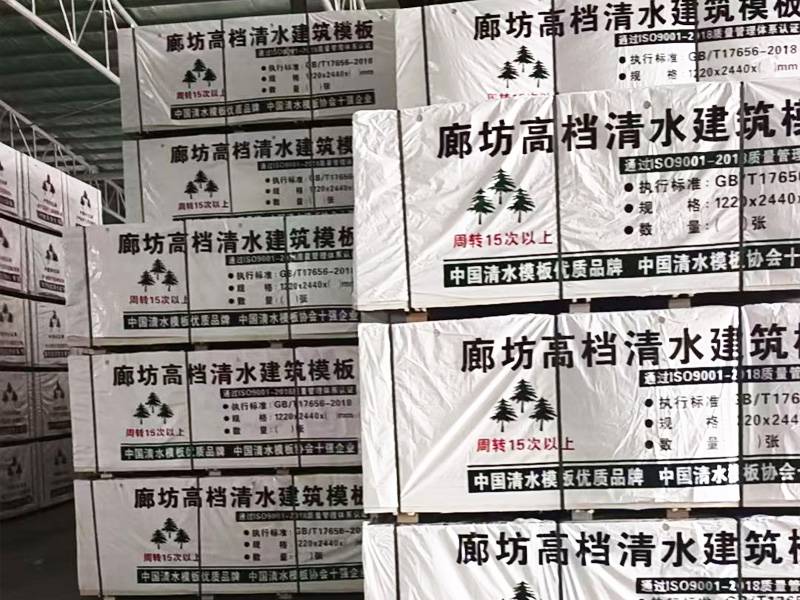 甘肃中惠金星木业有限公司厂区及产品展示