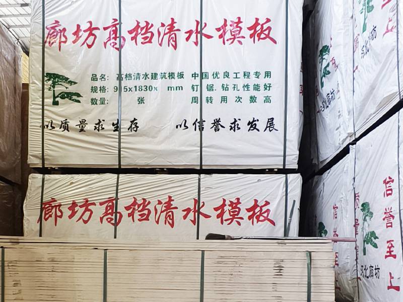 甘肃中惠金星木业有限公司