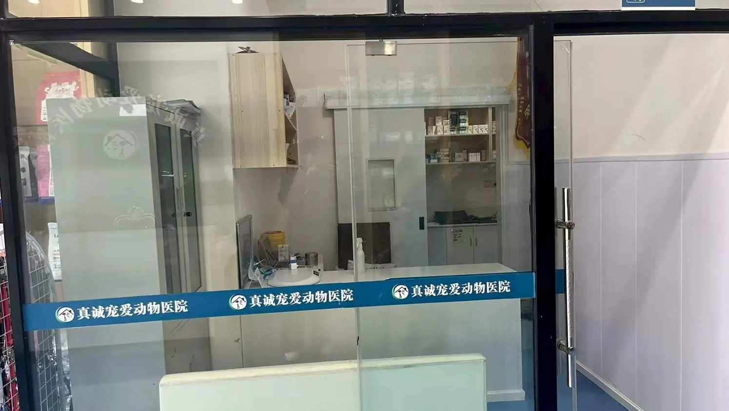 猫瘟治疗案例