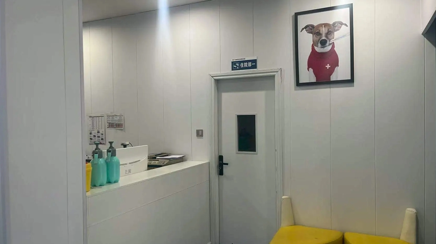都江堰市真诚宠爱宠物医院