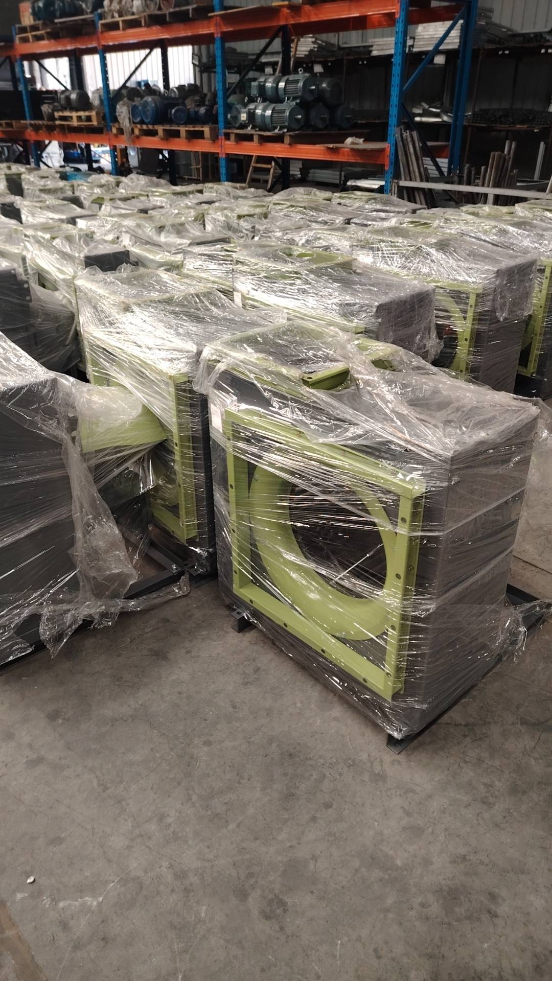 盛安净
