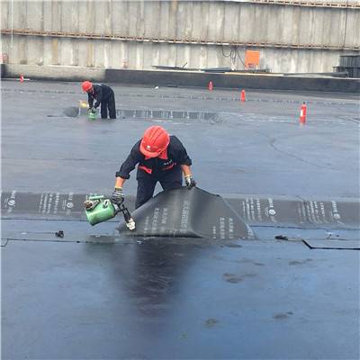 2026年成都外墙防水:成都别墅防水/成都厂房防水/成都地下室防水/成都外墙防水/成都屋面防水/彩钢房防水 2026年成都外墙防水:成都别墅防水/成都厂房防水/成都地下室防水/成都外墙防水/成都屋面防水/彩钢房防水