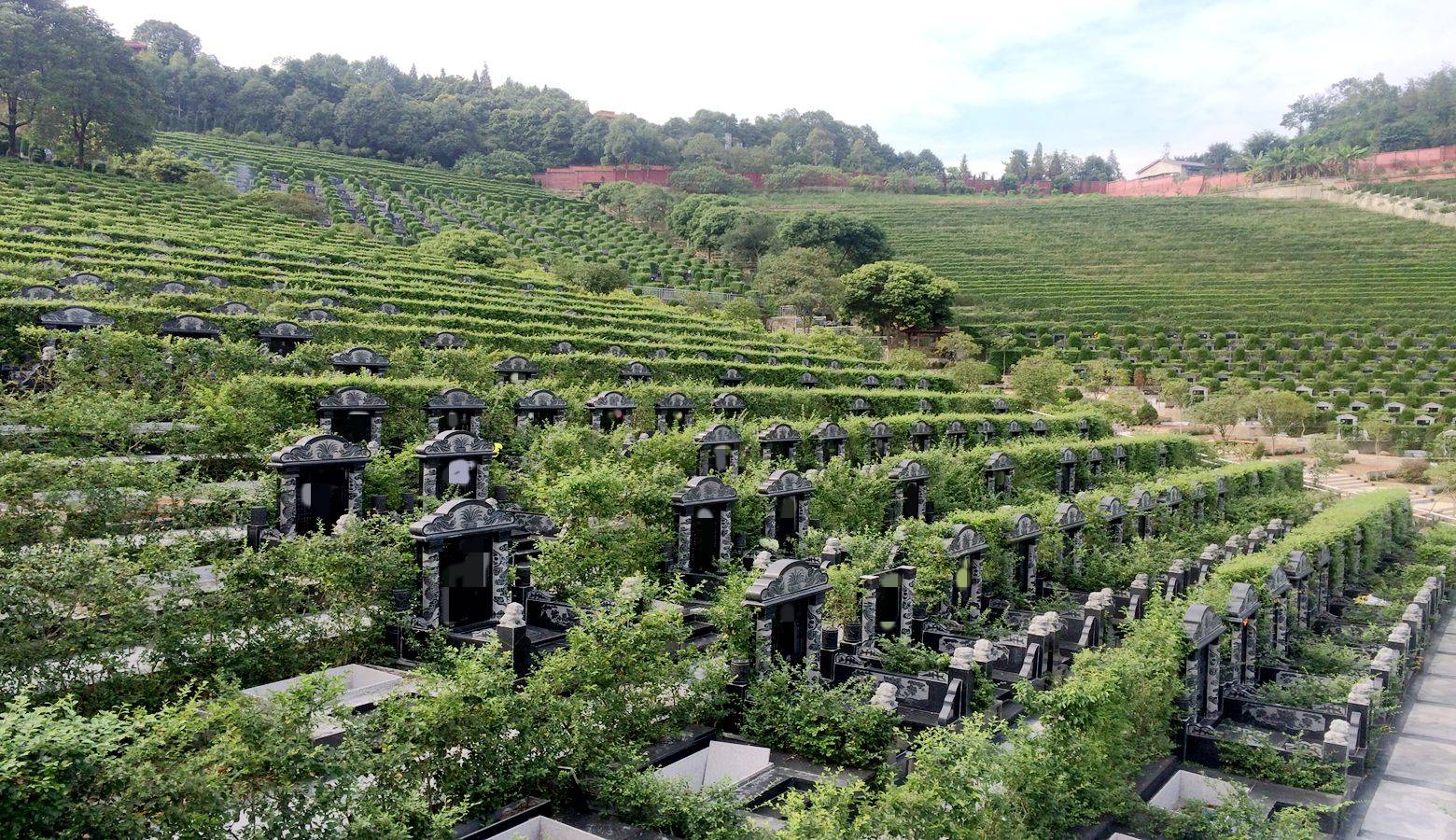 甘肃正规公墓园区实景