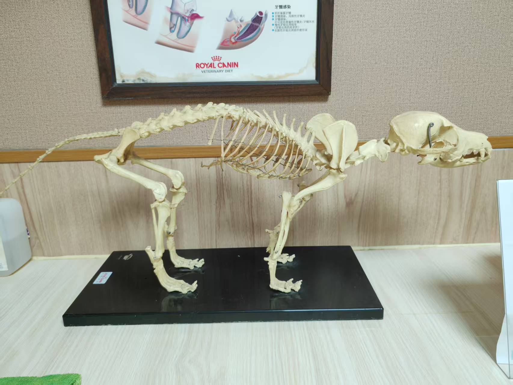百嘉园 诊疗环境