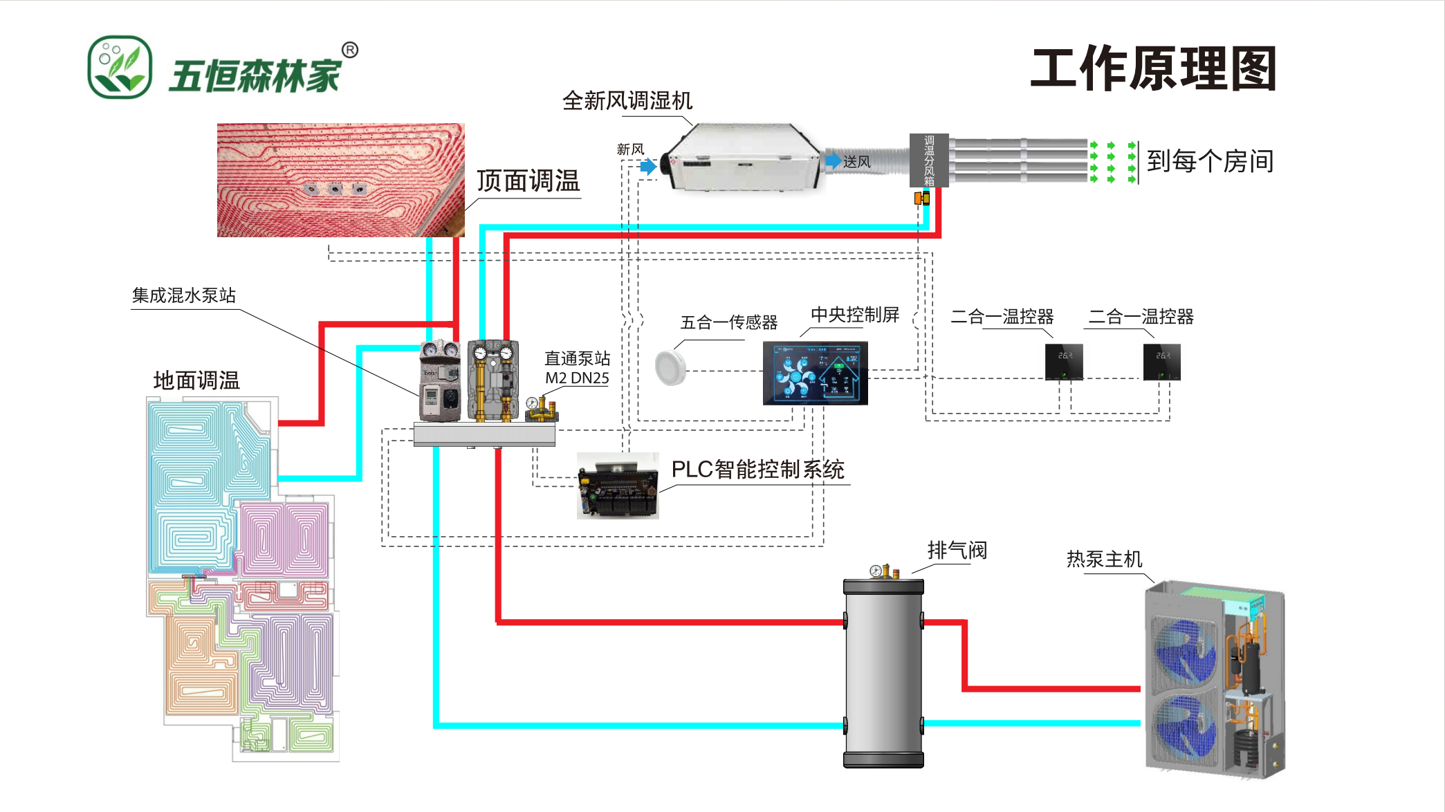 五恒系统