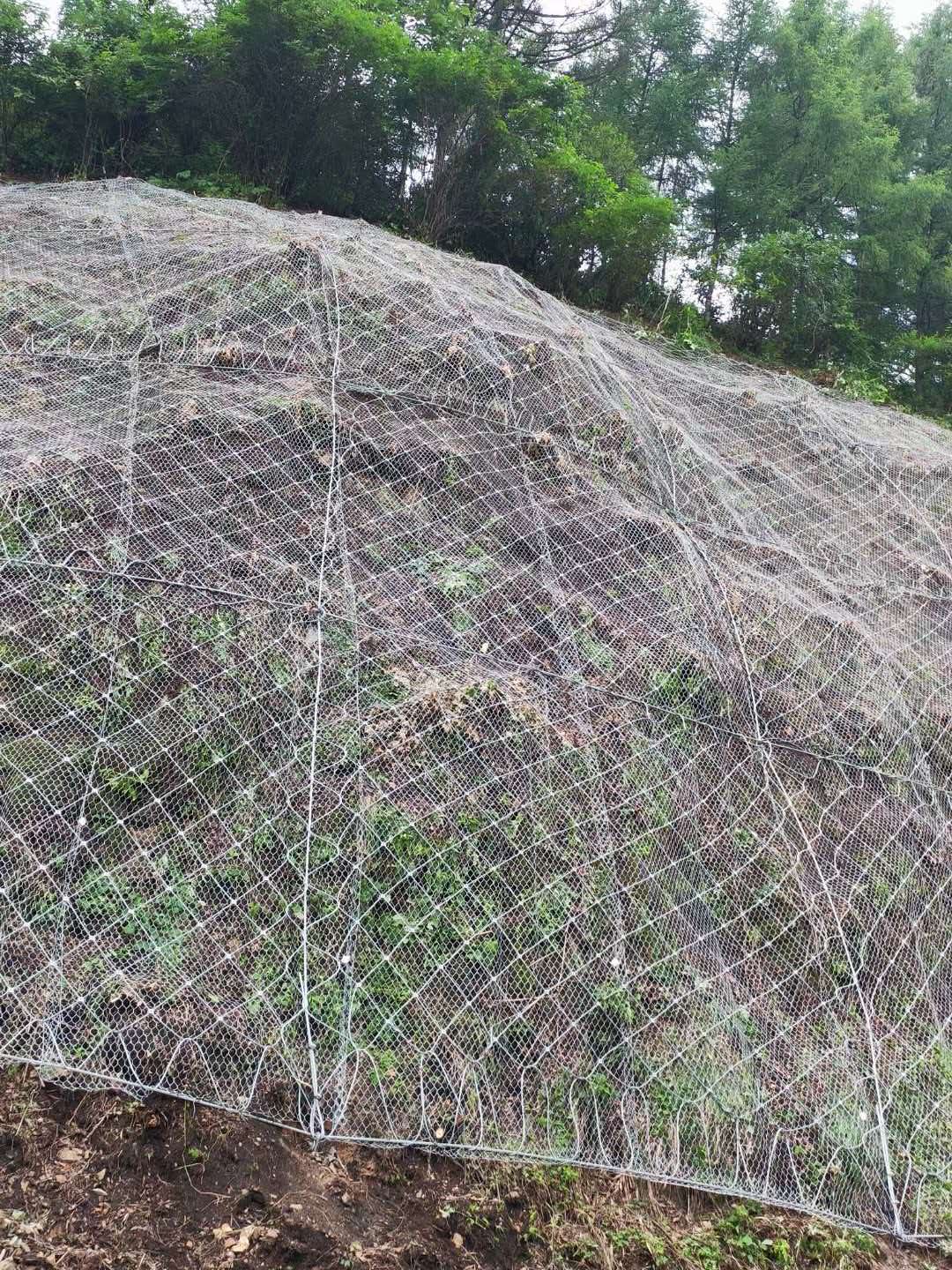 客土喷播施工