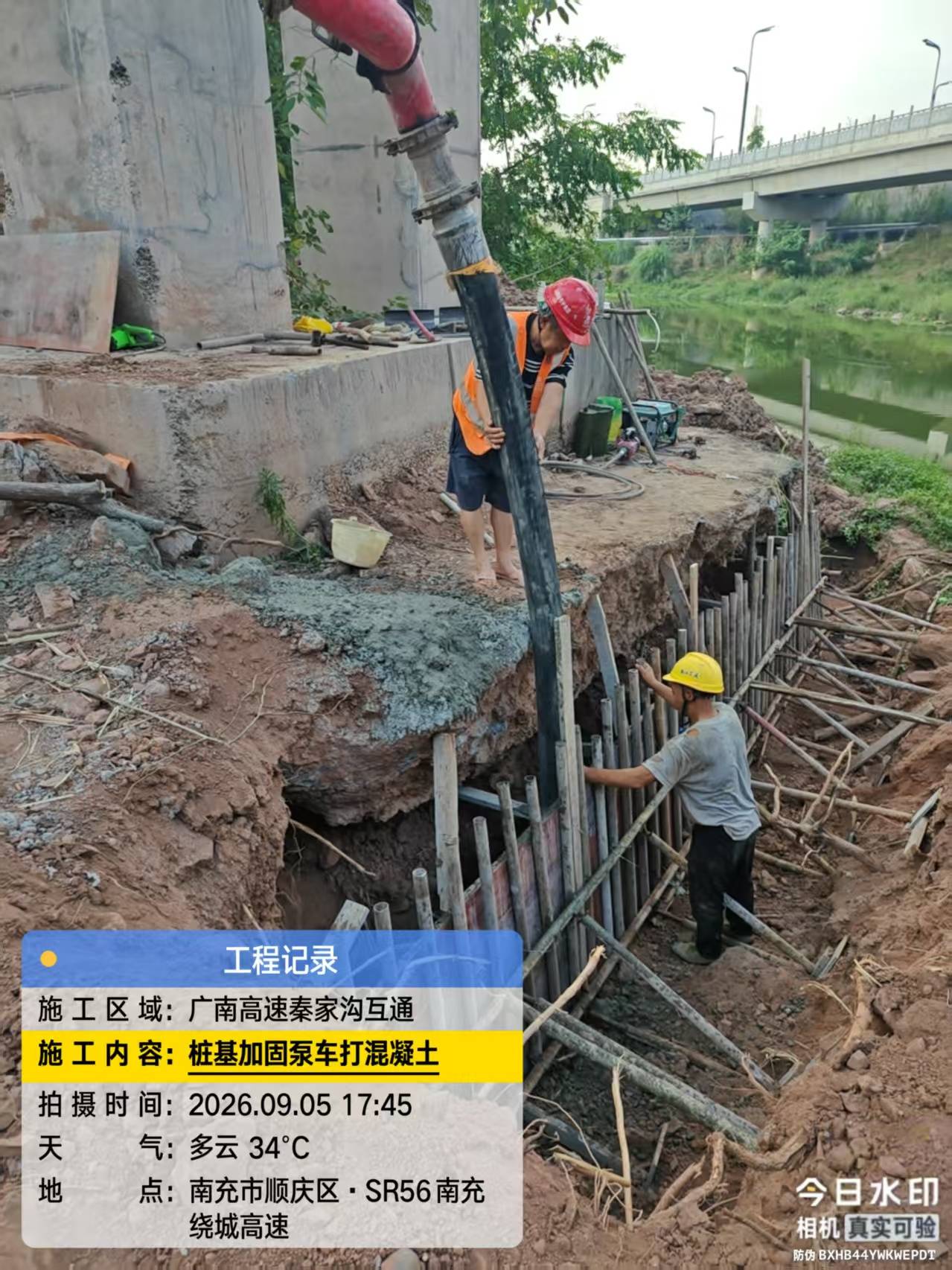净初有害生物 建筑加固施工现场