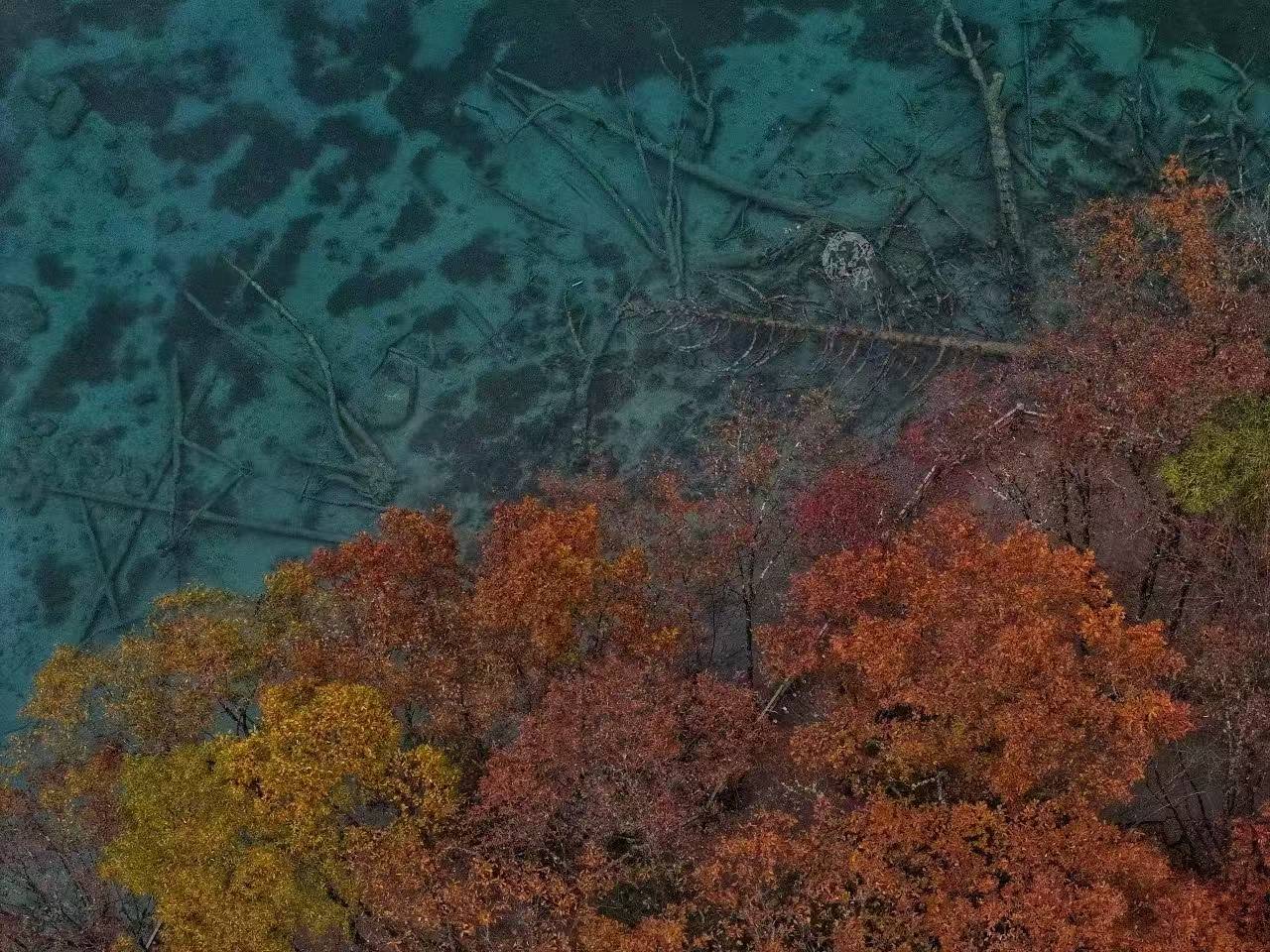 牛牛二奢预订咨询