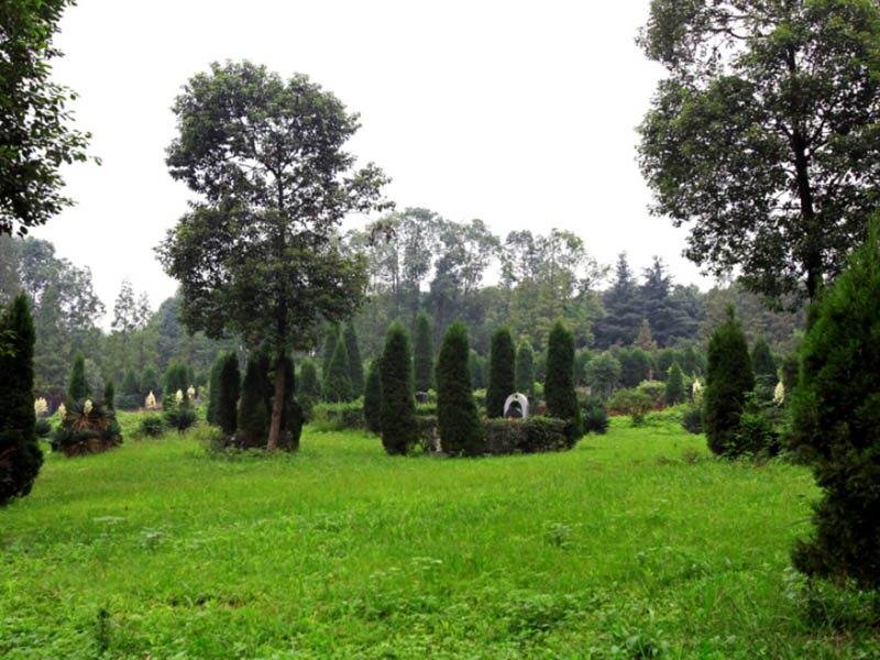 广元陵园园区实景01