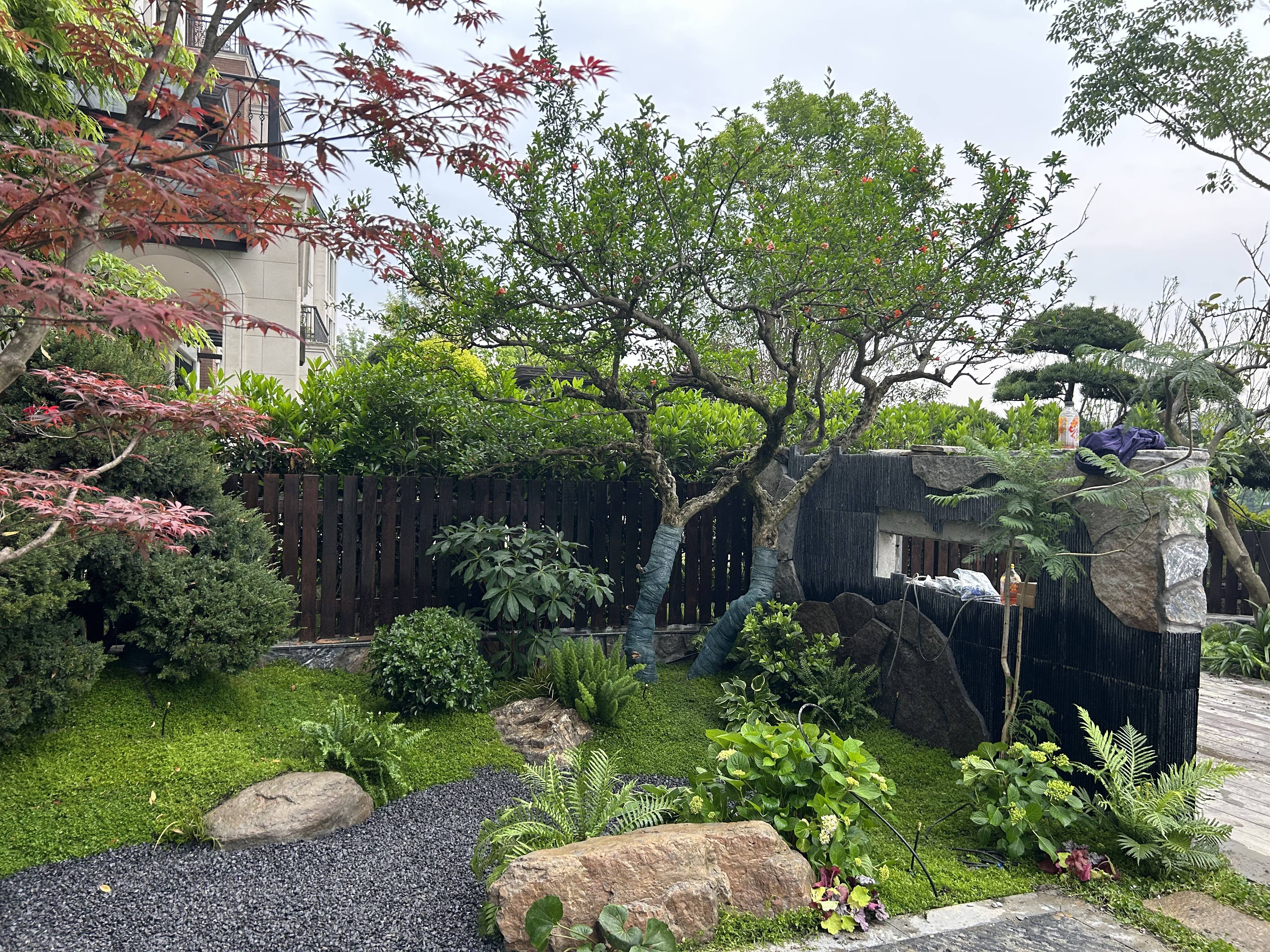 旧花园改造焕新实景