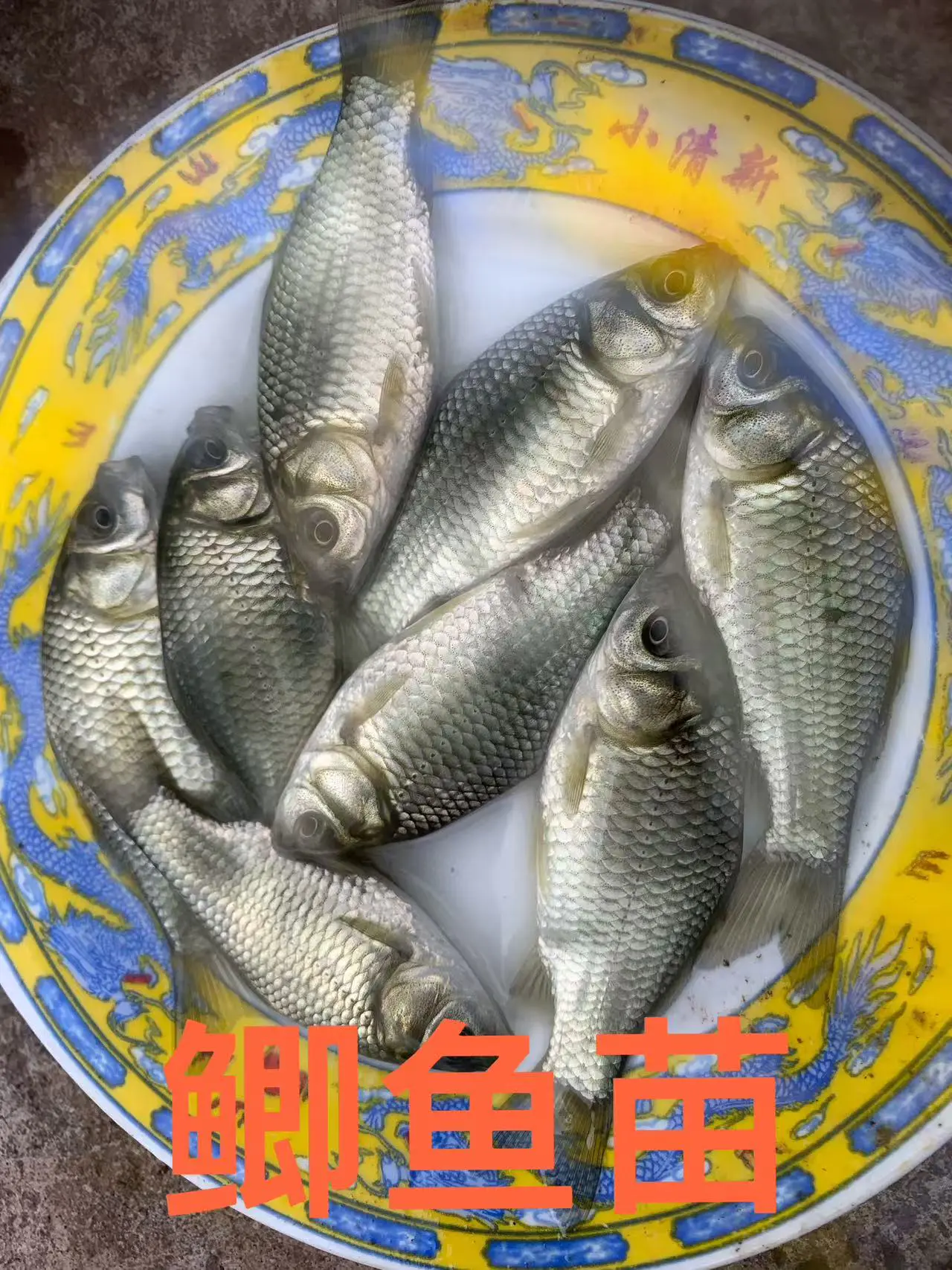 养殖基地实景十