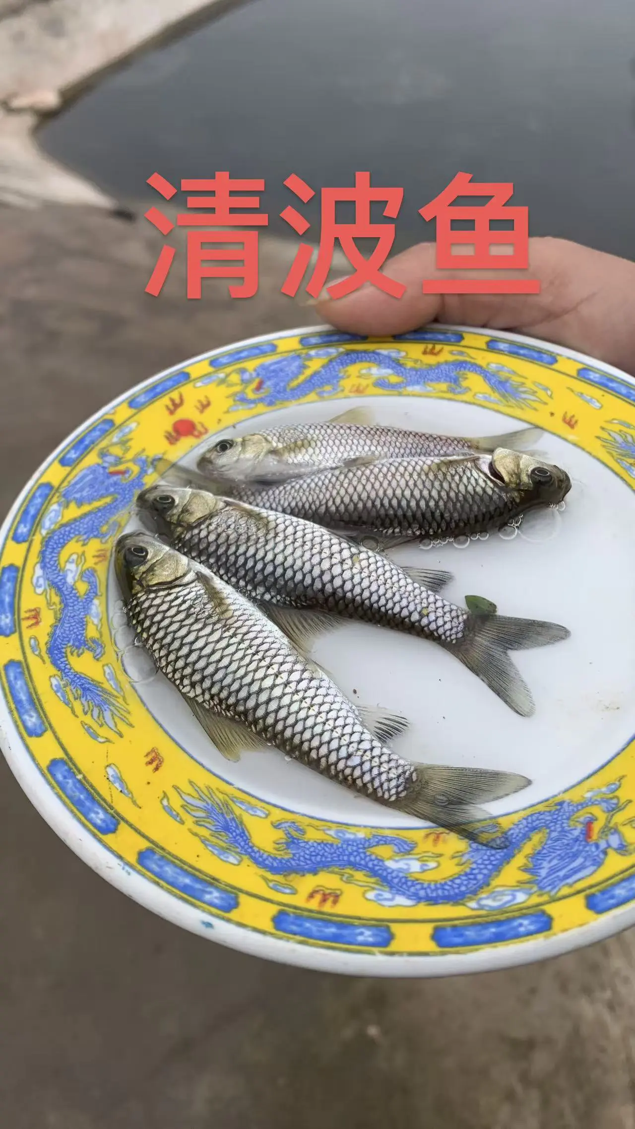 养殖基地实景九