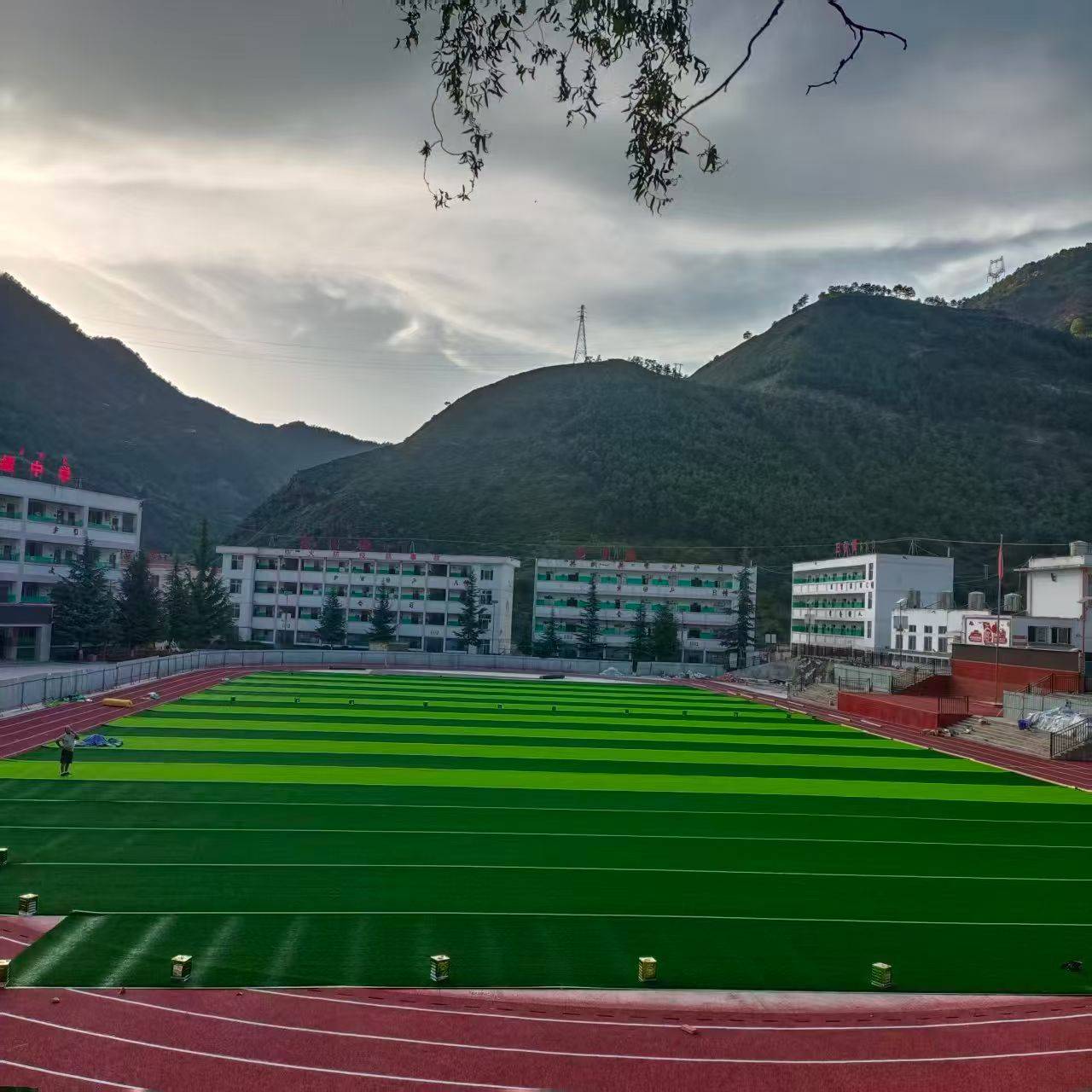 休闲草坪