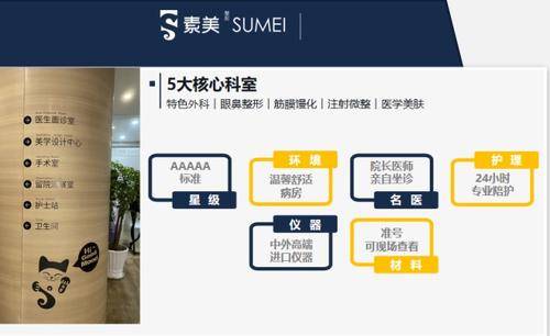 素美医疗美容