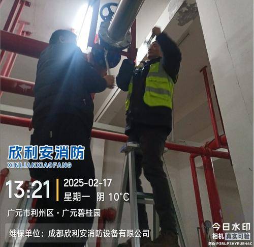 欣利安消
