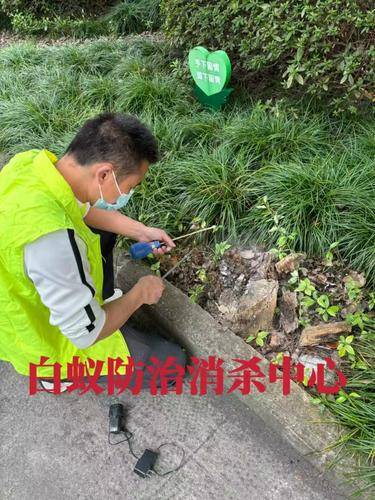 安洁士