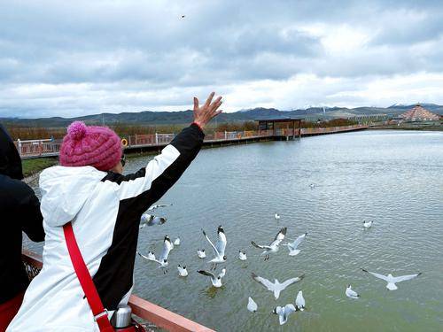 梅花鹿生态园 梅花鹿生态园