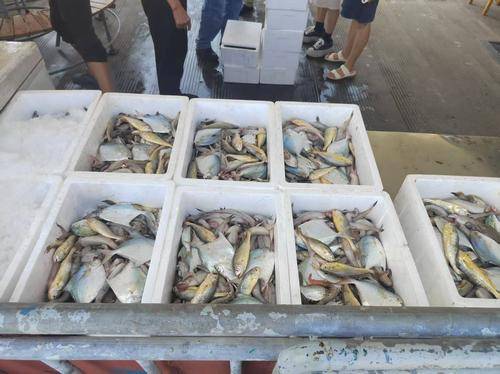 象山石浦海岛休闲渔业