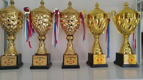 夹江县文礼武术学校