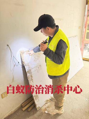 安洁士