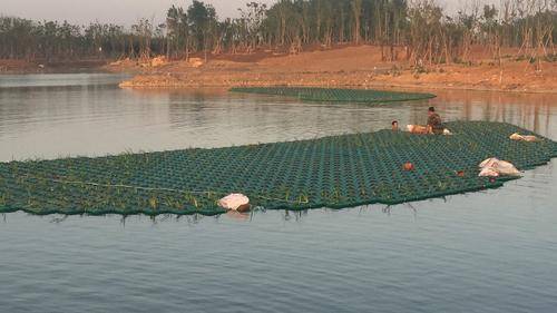 河北莲簇园林绿化工程有限公司