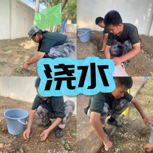 鹏舟
