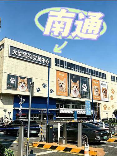 宠汪宠喵