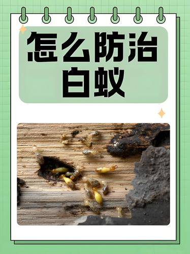 广州市为民白蚁防治中心