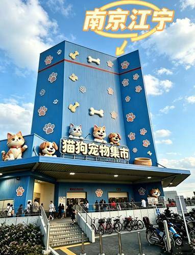 宠汪宠喵
