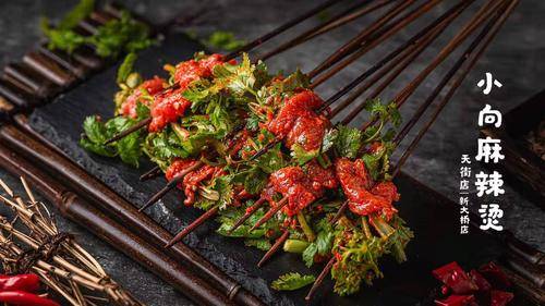 乐山市小向麻辣烫餐饮有限公司