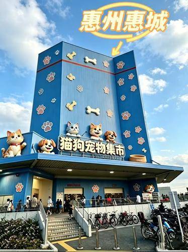 宠汪宠喵