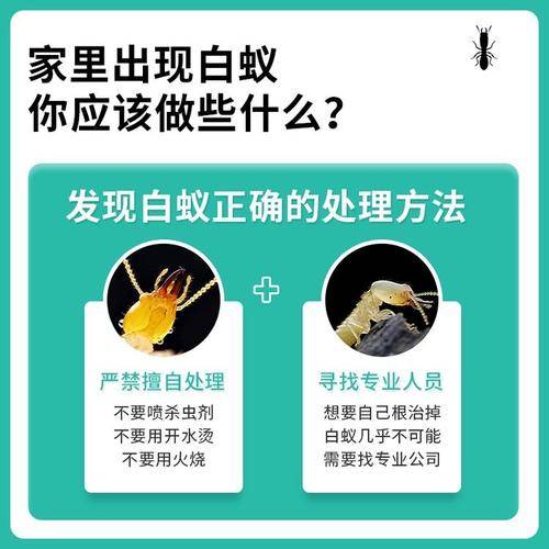 广州市为民白蚁防治中心 广州市为民白蚁防治中心