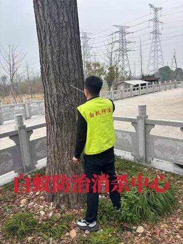 安洁士