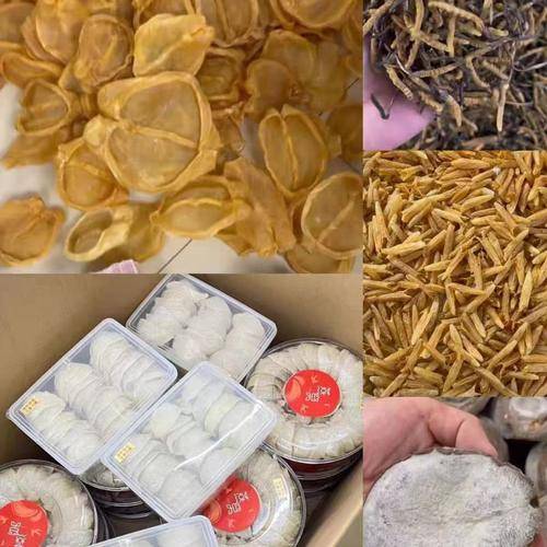 龙灏洋